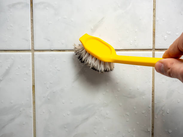 Professional Mold Removal in Hamlet, NC