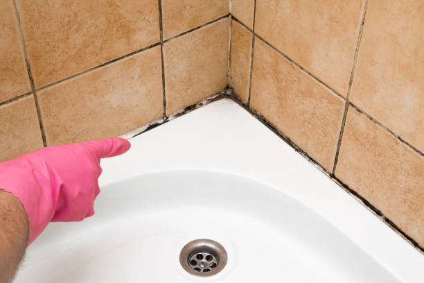 Best Residential Mold Removal  in Hamlet, NC